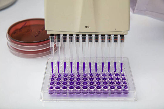comprar Manipulación de líquidos Moldeado de dispositivos médicos Micro pipeta de múltiples cavidades Moldeados de inyección de plástico moldeado de piezas de automóviles online manufacture